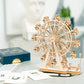 Robotime DIY 3D Wooden Puzzle | Merry Go Round Ferris Wheel